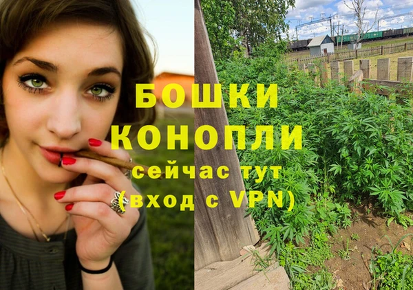 Альфа ПВП Горнозаводск