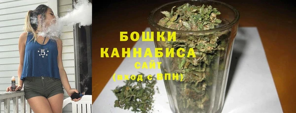 прущий лед Горняк
