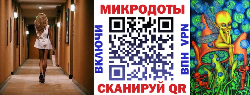 мега   Черепаново  Псилоцибиновые грибы Psilocybe 
