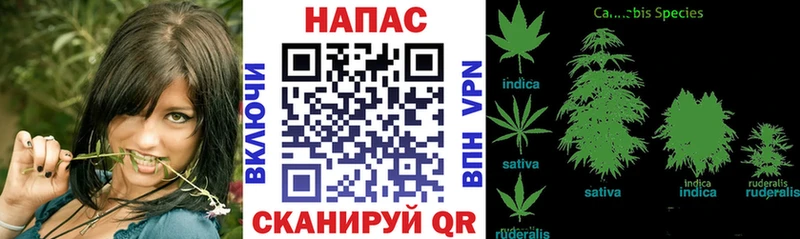 MEGA зеркало  Черепаново  Бошки марихуана OG Kush 